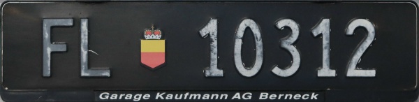 Liechtenstein normal series rear plate close-up FL 10312.jpg (44 kB)