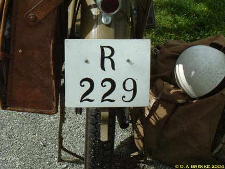 Norway antique vehicle series R-229.jpg (26 kB)