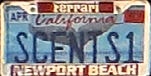 USA California personalized environmental plate close-up SCENTS1.jpg (11 kB)