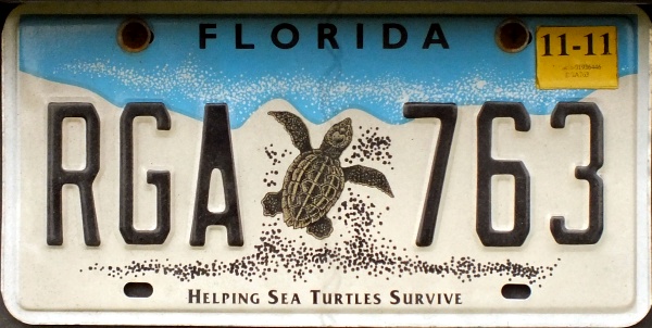 USA Florida Sea Turtles optional passenger series close-up RGA 763.jpg (95 kB)