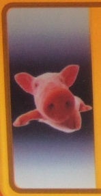 Alderney normal series close-up AY 1267_band.jpg (17 kB)