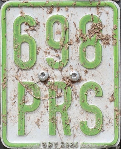 Germany moped series close-up 698 PRS.jpg (180 kB)