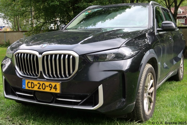 Netherlands diplomatic series CD-20-94.jpg (148 kB)